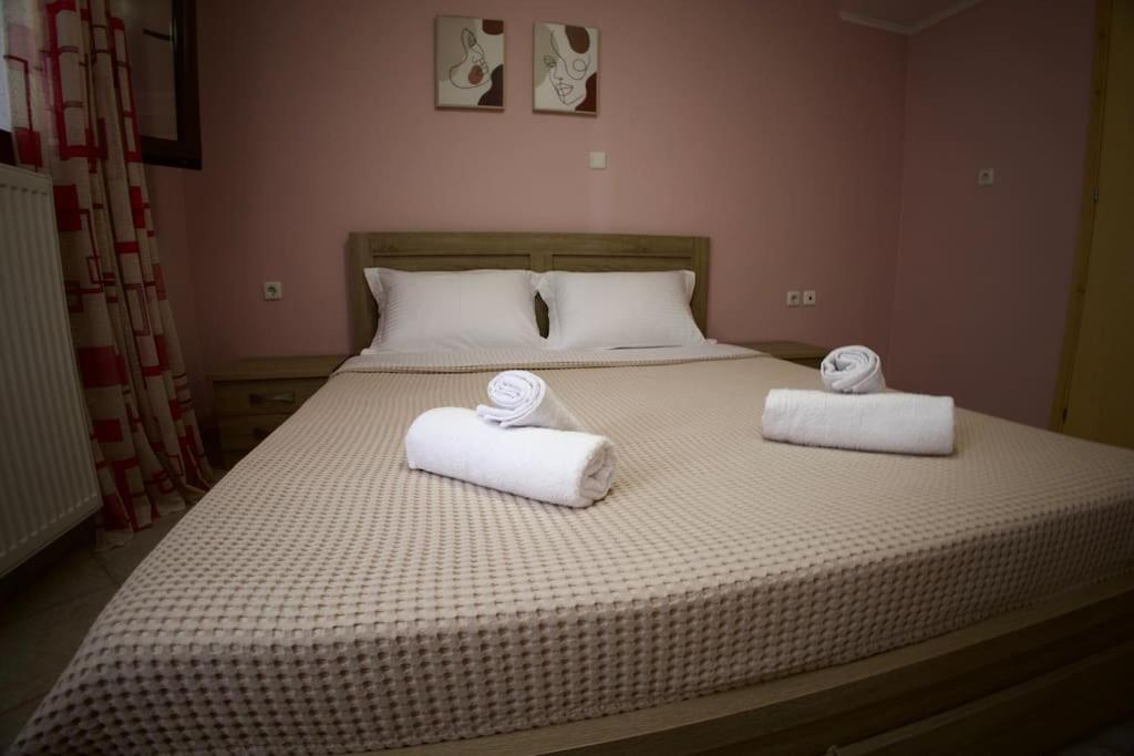 Mountain Harmony Home Konitsa Eksteriør billede